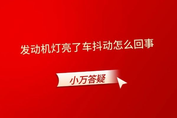 发动机灯亮了车抖动怎么回事