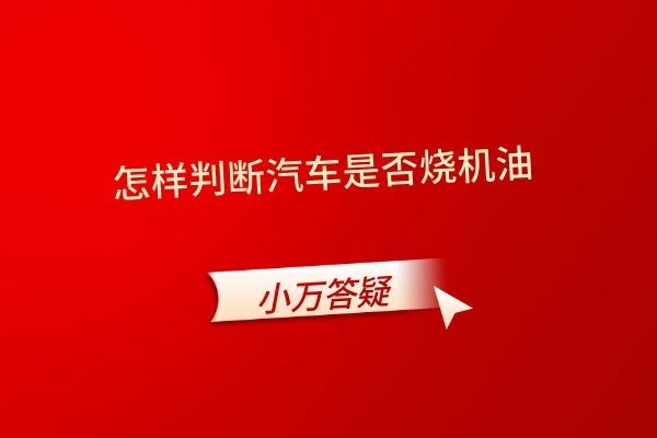 怎样判断汽车是否烧机油