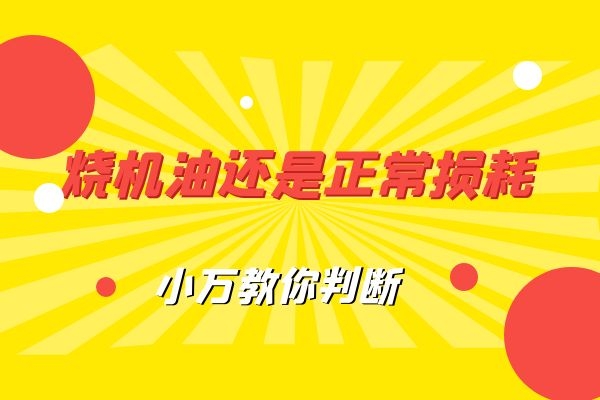 烧机油还是正常损耗 小万教你判断
