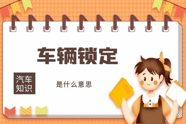 车辆锁定是什么意思