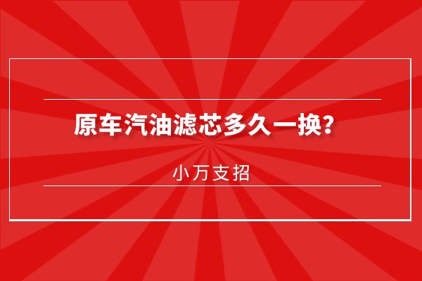 原车汽油滤芯多久一换