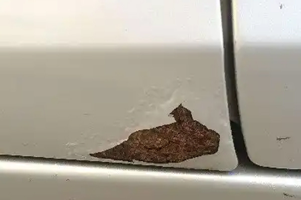 车门锈了烂了窟窿怎样处理
