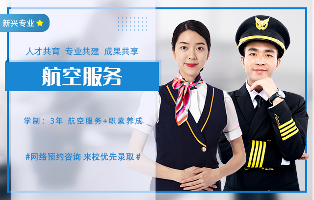 航空服务